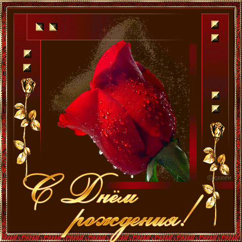 Анимация