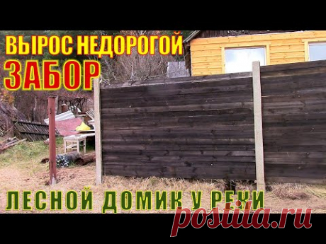Вырос ЗАБОР на лесном домике у реки у художника в деревне. Дешевый и быстрый ЗАБОР.