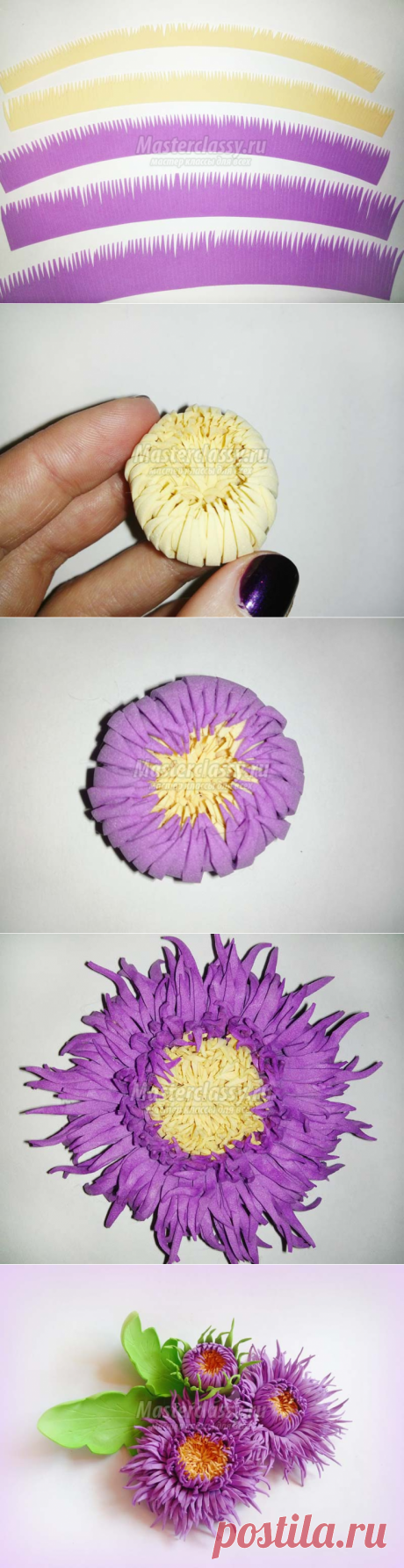Астры из фоамирана. Мастер-класс с фото