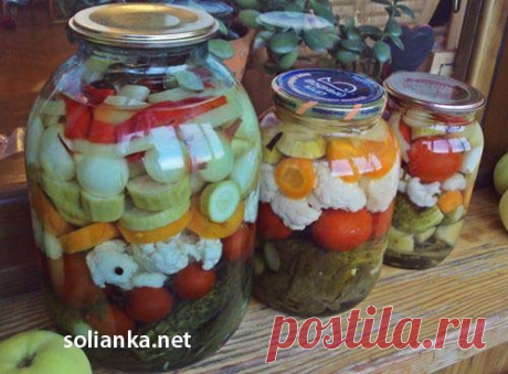 Ассорти на зиму из овощей или рецепт пикули маринованные