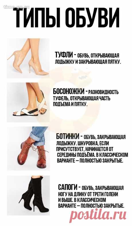 Мега-путеводитель по женской обуви – в картинках – Time Go!