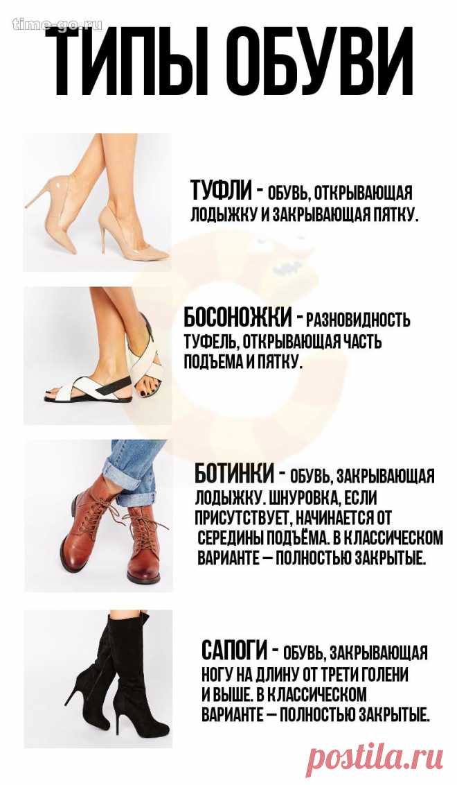 Мега-путеводитель по женской обуви – в картинках – Time Go!