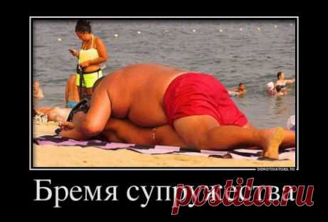 улыбаемся)) или ржём... тут на выбор)))))))))))))))
