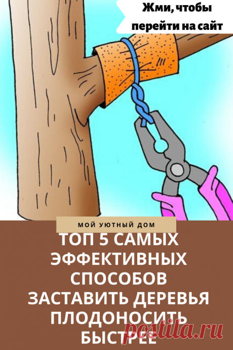 Как сделать чтобы деревья плодоносили быстрее