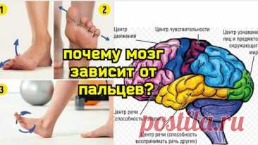 МОЗГ ДЕГРАДИРУЕТ из-за слабости стоп. Помогут методы активации моторной коры мозга и упражнения для пальцев ног
