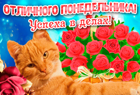 Понедельник наступает.
Что же нам он принесет?
Пусть он радости добавит
И нам в чем-то повезет.