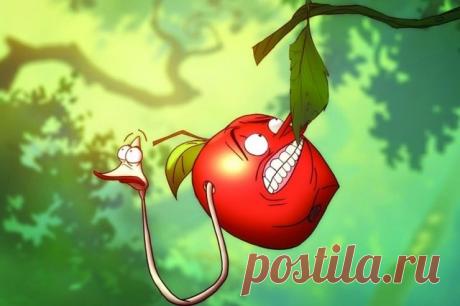 20 народных рецептов против вредителей - Садоводка