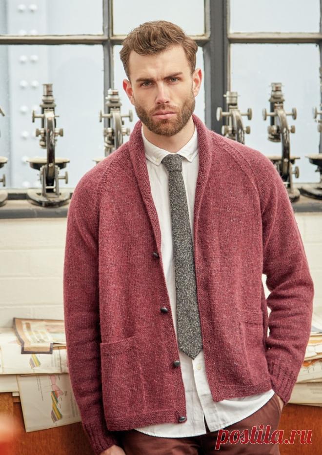 Mens Raglan Cardigan with Knitting Needles Free Pattern