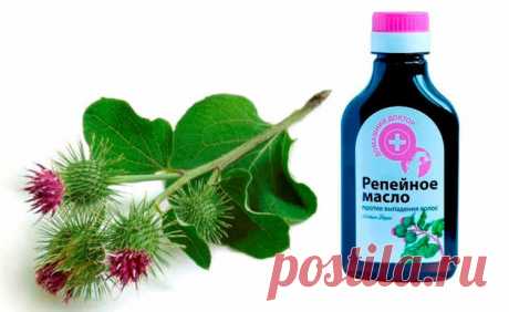 Репейное масло для волос: маски для волос, ресниц и бороды Репейное масло для волос - самый известный продукт, способный вылечить волосы, помочь им расти. Давайте узнаем, как им пользоваться.
