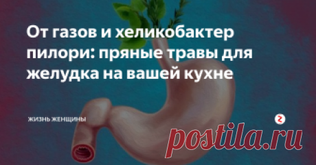 От газов и хеликобактер пилори: пряные травы для желудка на вашей кухне Когда начинает болеть в желудке, ухудшается пищеварение, а живот испускает громогласные газы, то настала пора лечить желудок. Виной всему могут быть неправильный образ жизни, нездоровое питание, и даже бактерия хеликобактер пилори. Безусловно, в подобных случаях нужно обращаться к врачу. А дома уже закрепить эффект - с помощью обычных пряных трав на вашей кухне!
