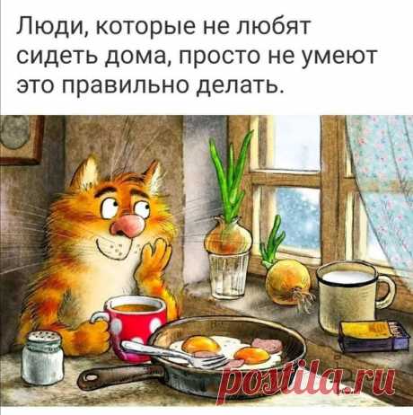 #любовь #любовьксебе #позитивноемышление #сарказм #жизнь #смешныекартинки #юморвкартинках #юмор #женскийюмор #женскаяпсихология #философияжизни #obovseminiochemm