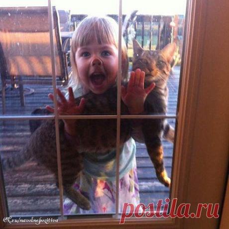 (1) Одноклассники