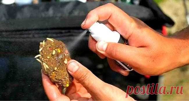 Необычные запахи для карася. От одеколона до керосина
