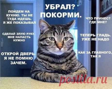 ИДЕИ | ВКонтакте