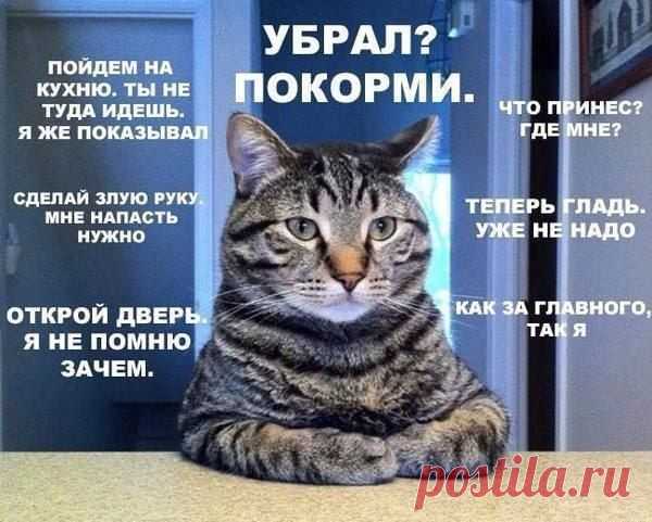 ИДЕИ | ВКонтакте