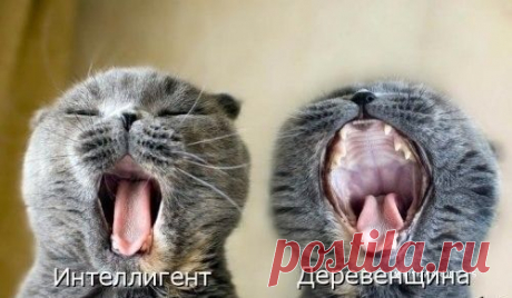 Мой Мир@Mail.Ru