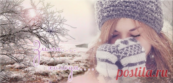 В гостях у НИНОК.