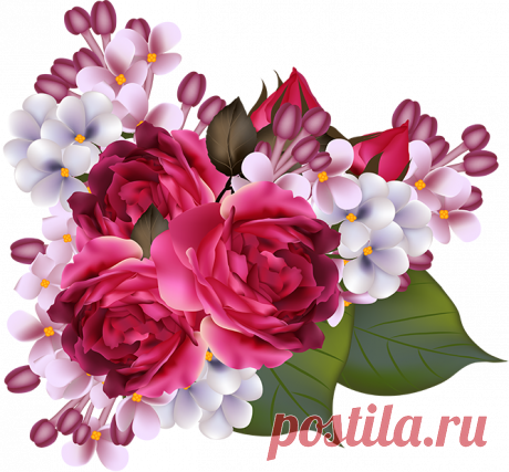 Цветы
