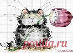 Одноклассники