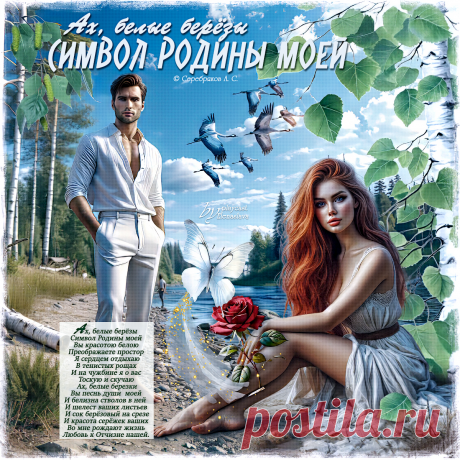 Ах, белые берёзы... ~ Открытка (плейкаст)