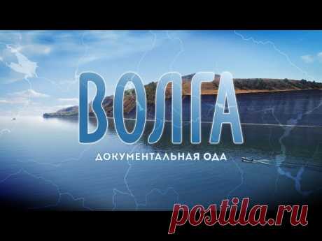 Светлана Мамеко