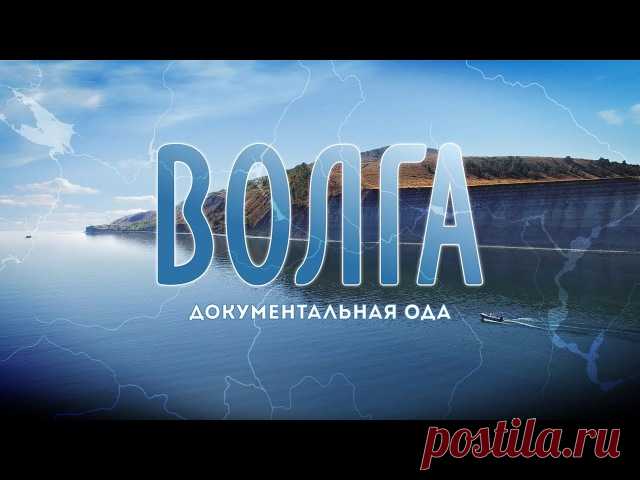 Светлана Мамеко