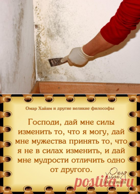 (6) Одноклассники