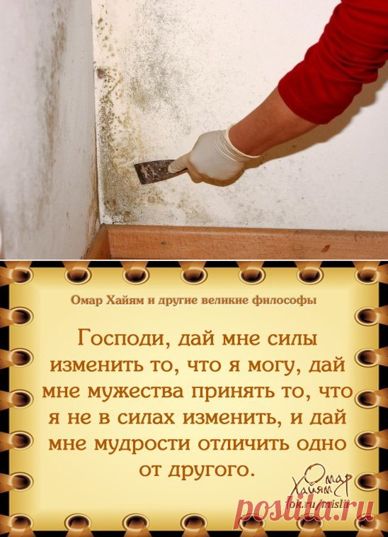 (6) Одноклассники