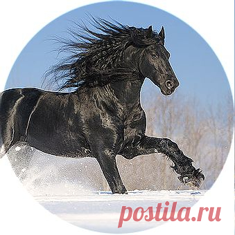 Красота,которой можно любоваться!!!