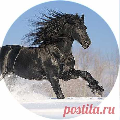 Красота,которой можно любоваться!!!