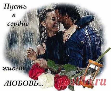 (49) Одноклассники