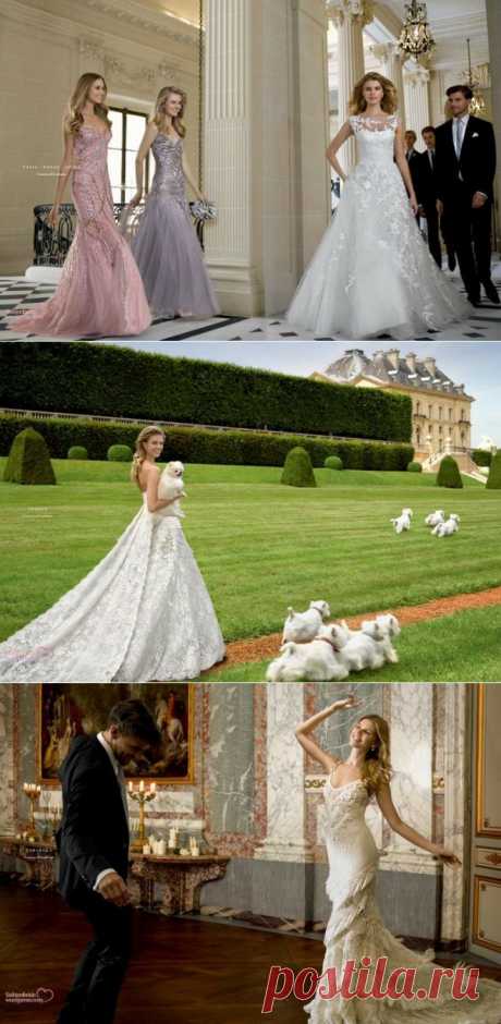 Новая коллекция свадебных платьев от марки Pronovias 2014