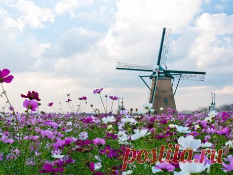 Лето фото|Абсолютное счастье