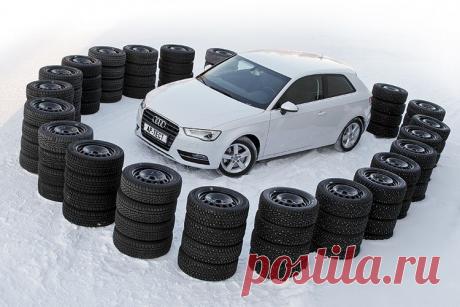 Что нашипели шипы?