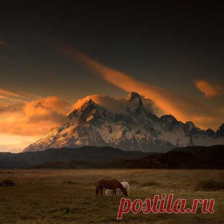Вия Гаврилова