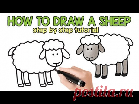 Learn How to Draw a Sheep - Easy Step by step drawing tutorial