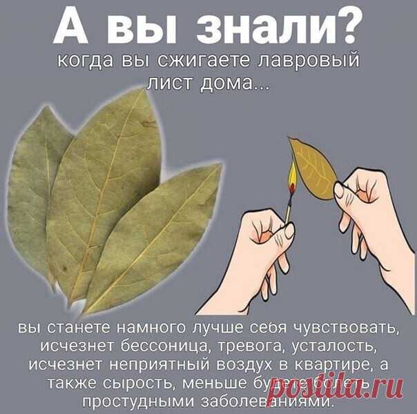 i (604×600)