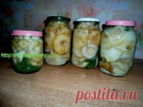 Соленые грузди холодным способом от Ольги Космацкой. Соленые грузди

 	     "Собранные грибы сразу перебрать, перемыть, сложить в бачок и залить холодной водой. Вымачиваем грузди трое суток. При этом через каждые сутки сливать воду, тщательно промывать грибы и заливать свежую воду. - Ольга Космацкая (Канск, Россия) рассказывает, как приготовить соле