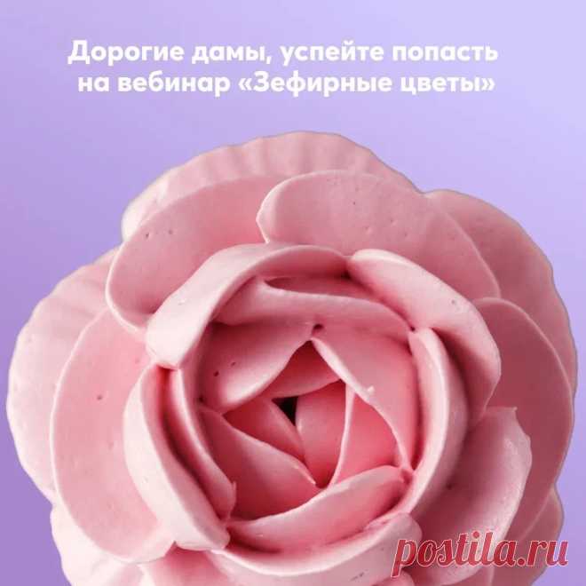 ღ Женская реальность 2023 ღ
