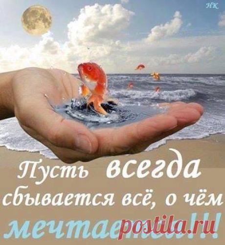 (20+) Ольга Большакова | Facebook