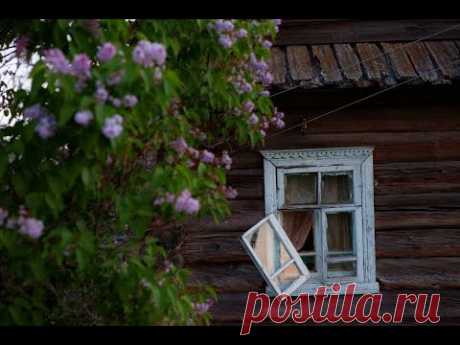ИВОЛГА РЫДАЕТ. Душевная песня.