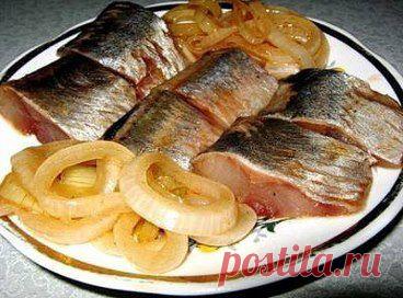 Селедочка(бесподобный способ засолки)

По этому рецепту мы солили сельдь уже много - много раз и всегда результат нас радовал!!
Берем 1 кг свежемороженой сельди хорошего качества. Выпотрошить, снять кожу и нарезать кусочками. Сложить рыбку в эмалированную кастрюльку.

Ингредиенты:

Заранее приготовить заливочку:
3 луковицы нарезать колечками,...........................
•••
http://gotovim-na.biz/publ/vtorye_bljuda/ryba/seledochka_bespodobnyj_sposob_zasolki/19-1-0-2382