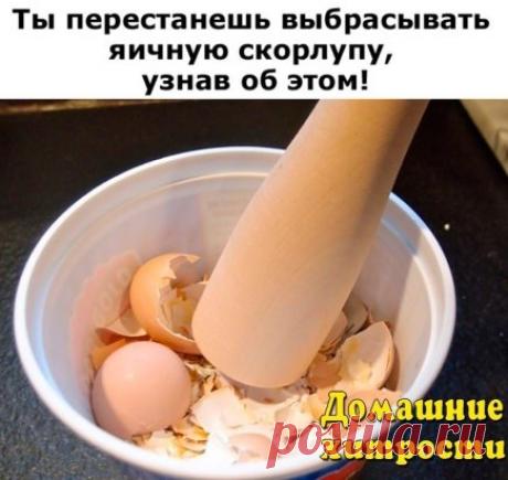 (4) Одноклассники