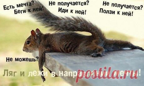 Мой Мир@Mail.Ru