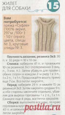 Жилет для маленькой собаки спицами схема | Вязание спицами и крючком