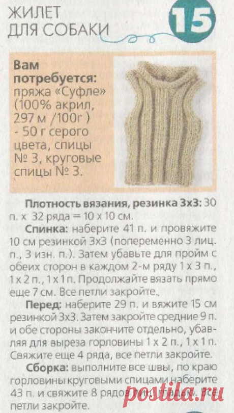 Жилет для маленькой собаки спицами схема | Вязание спицами и крючком