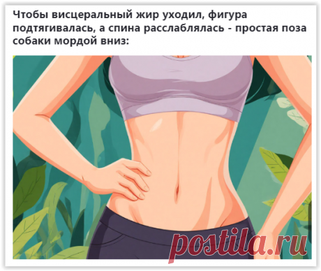 ПОЗА 'СОБАКА МОРДОЙ ВНИЗ': КЛЮЧ К МОЛОДОСТИ И ЗДОРОВЬЮ!