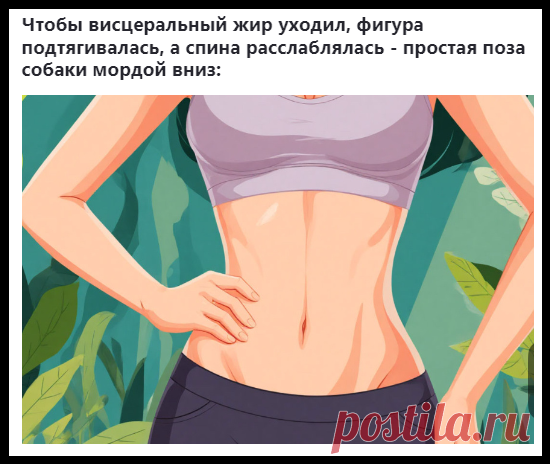 ПОЗА 'СОБАКА МОРДОЙ ВНИЗ': КЛЮЧ К МОЛОДОСТИ И ЗДОРОВЬЮ!