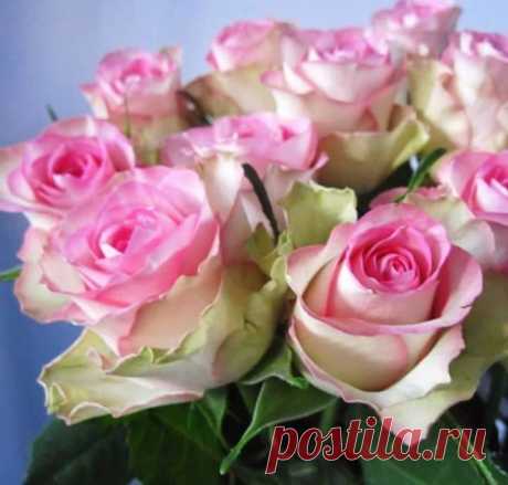 хх