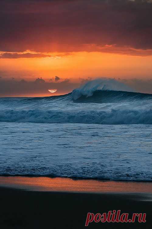 ponderation:
“Sun Craving by Heather Smith
”